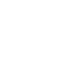 Boomerang logo